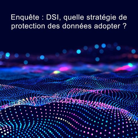 Enquête : DSI, quelle stratégie de protection des données adopter ?