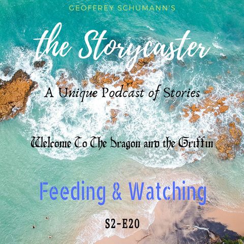 S2 - E20 Feeding And Watching