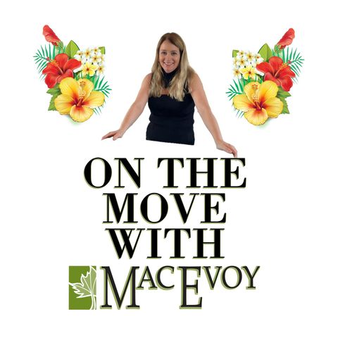 On the Move with Mac Evoy- Little Birthday Angels