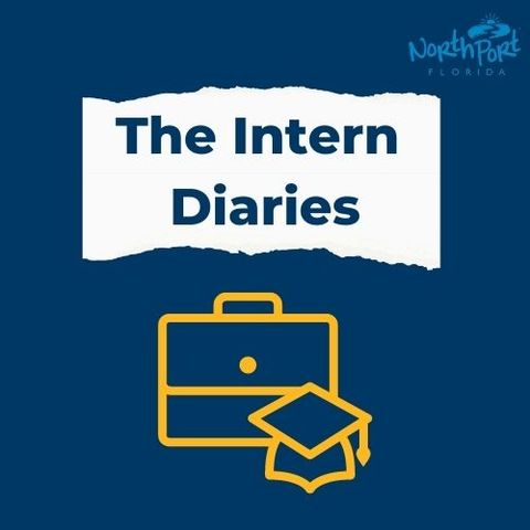 Intern Diaries: An Introduction to the Internship
