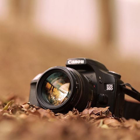 Iso