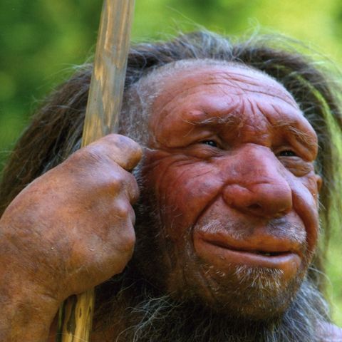 Il prof. Angelucci, le ultime scoperte sui Neanderthal e il progetto Alpes dell’Università di Trento