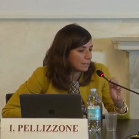 Irene Pellizzone - “Violenza economica e disparità tra generi: un’analisi di diritto costituzionale ”
