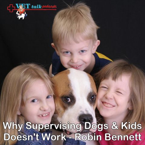 Why Supervising Kids & Dogs Doesn't Work! - Robin Bennett