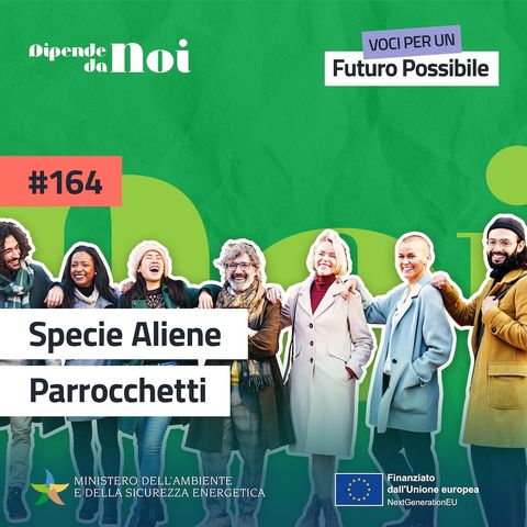 Specie Aliene || Parrocchetti