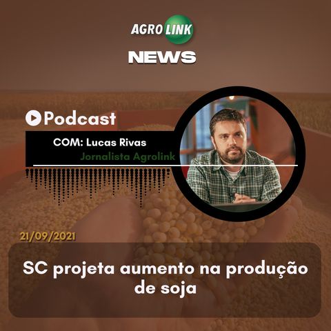 Podcast: Tereza Cristina ressalta sustentabilidade do agro brasileiro