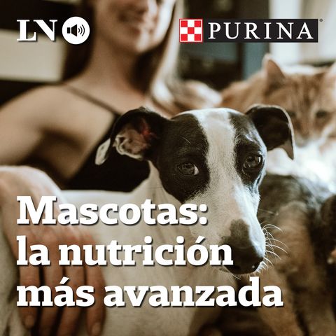 Perros y gatos ¿Qué es la nutrición terapéutica?