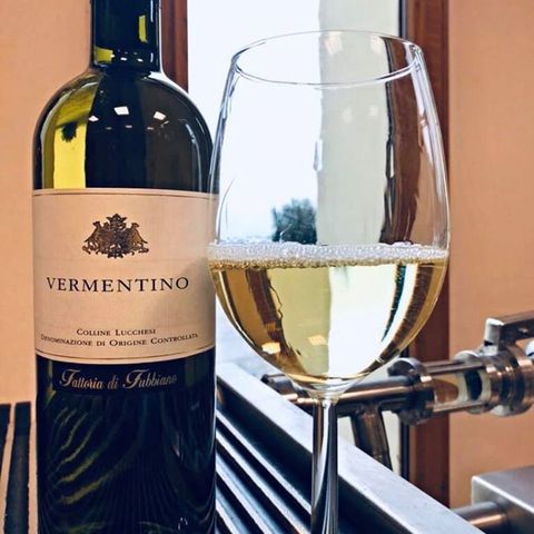 Degustiamo il _Vermentino_ DOC Colline Lucchesi 2019 e parliamo del ciclo della vite con Nicola Prov