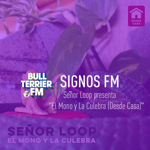 Señor Loop presenta "El Mono y La Culebra (Desde Casa)" - SignosFM