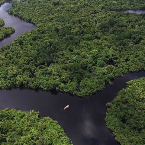 Desmatamento na Floresta Amazônica