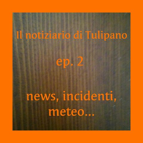 Episodio 2 - Il Notiziario di Tulipano