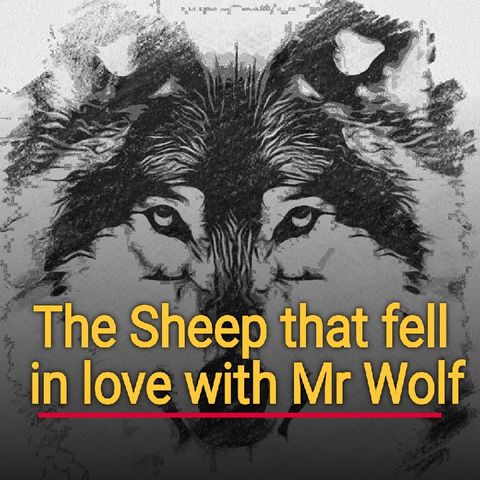 54 The Sheep that fell in love with Mr Wolf