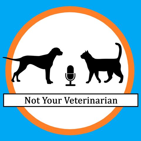 The Care and Feeding of Your Veterinarian