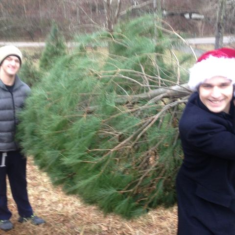 Christmas Tree Farms, Holiday Stress Relief, 1900s Christmas Celebration and Young Guns
