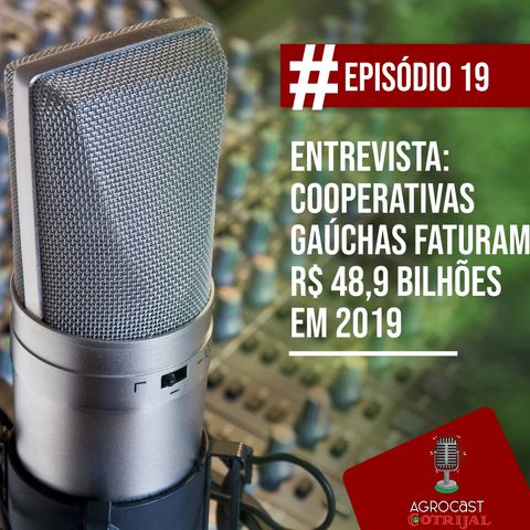Entrevista: Cooperativas gaúchas faturam R$ 48,9 bilhões em 2019