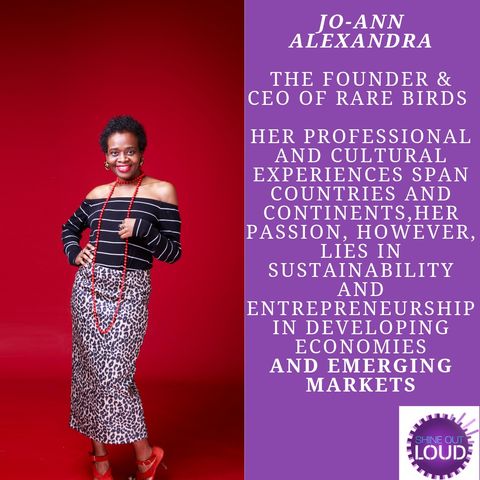 Taking the rare path to creating sustainable businesses with Jo-Ann Alexandra