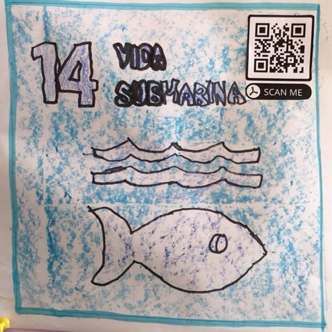 ODS 14