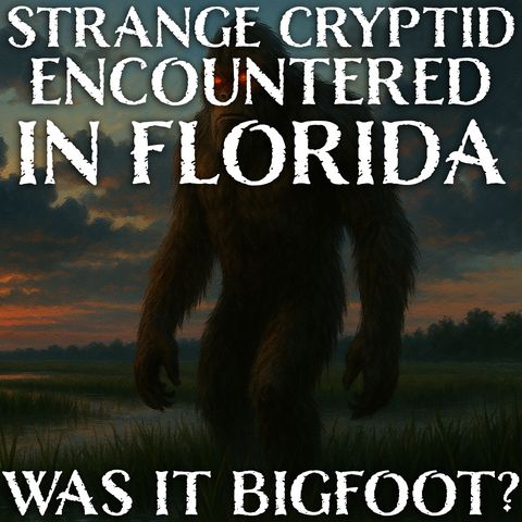 STRANGE FLORIDA CRYPTID CREATURE SEEN IN GUY'S BACK YARD! "IT WAS DIFFERENT THAN A BIGFOOT!"