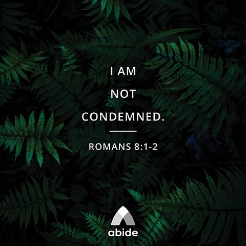 You Are Not Condemned