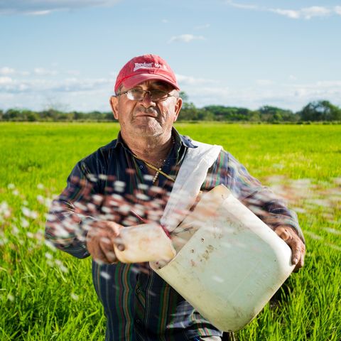 Noticias del sector: El Gobierno modifica la obligación de cotizar por tener ingresos por explotación agraria