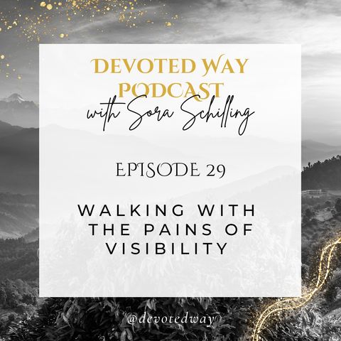 29. Walking With the Pains of Visibility