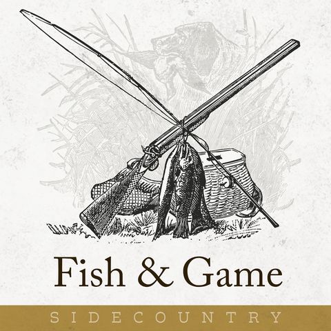 Introducing Fish and Game!