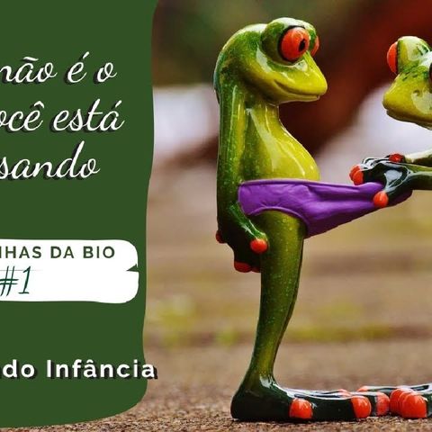BioFast #1 - Diferenca Entre SAPO, RÃ e PERERECA [Rapidinhas da Bio#1]