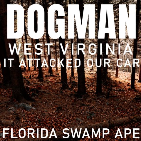 DOGMAN ENCOUNTER IN WEST VIRGINIA | FLORIDA SKUNKAPE ACTIVITY (IT TRIED TO ATTACK US)