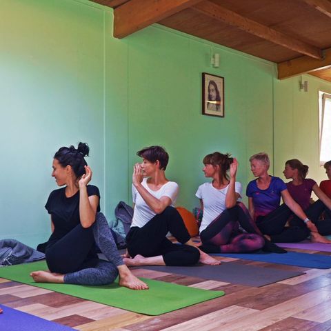 Which Yoga Training is Recognized in Germany?