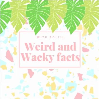 Weird and Wacky Facts episode 1