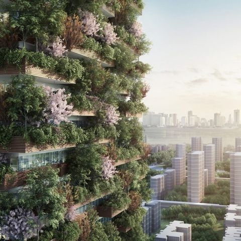 Da Milano alla Cina: le foreste verticali crescono