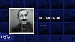 İş Kültür'den  Çevirmen ve yazar Nafer Ermişle Stefan Zweig Söyleşisi