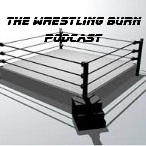 WWE The Wrestling Burn lost Short episode