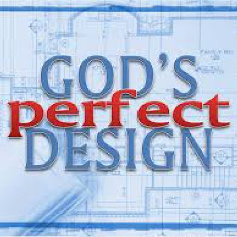 God Design How Perfect You Are