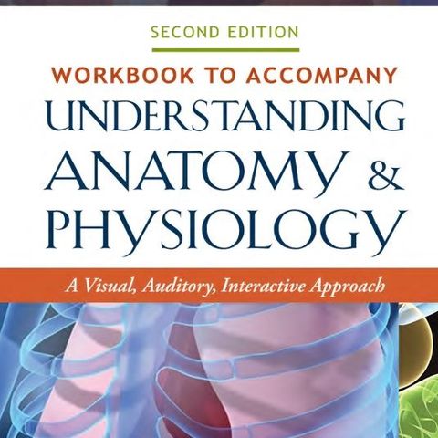 Understanding Anatomy & Physiology: A Visual, Auditory, Interactive Approach: A Visual, Auditory, Interactive Approach
