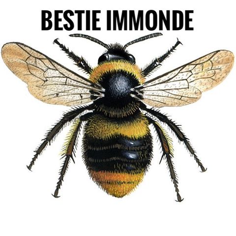 #to Bestie immonde!