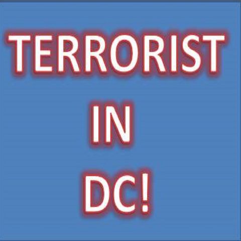 DONALD J TRUMP IS A TERRORIST LEADER! NO GRAY! @REALDONALDTRUMP #REPUBLICANS