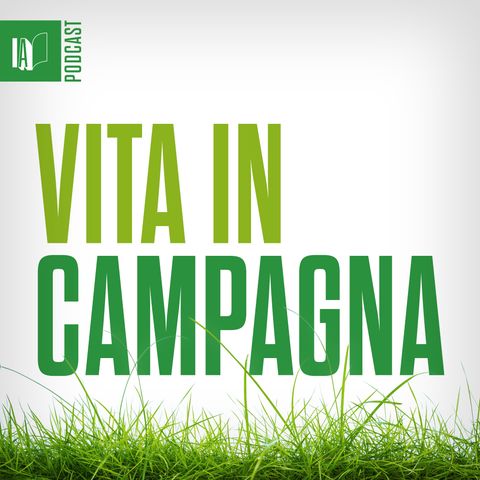 Copertina del podcast