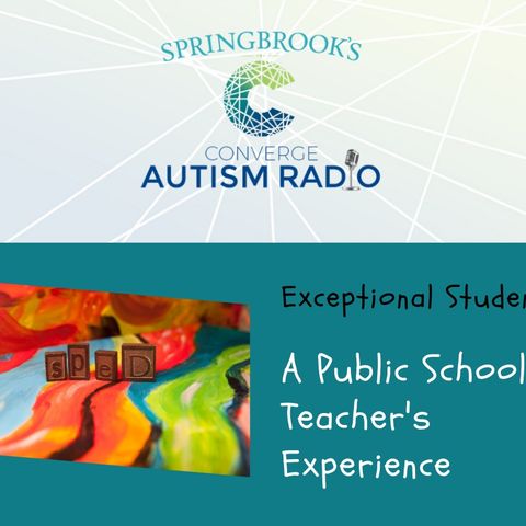 Exceptional Students: A Public School Teacher's Experience