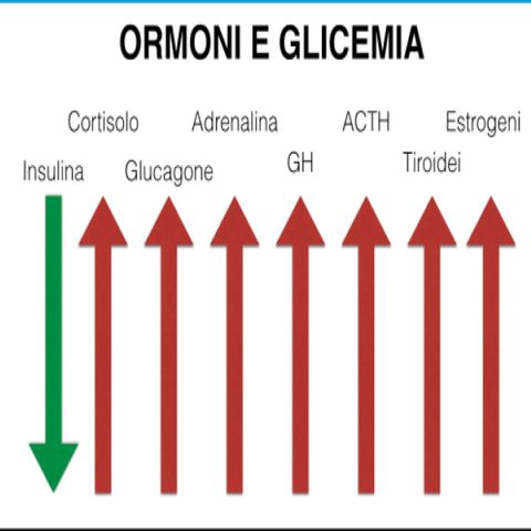 La Dieta Ipocalorica? No, Grazie!