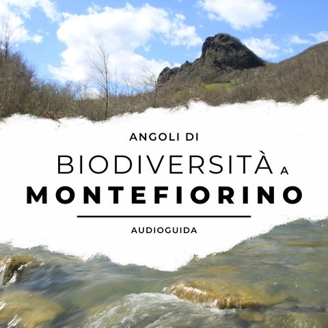 Montefiorino e la sua biodiversità