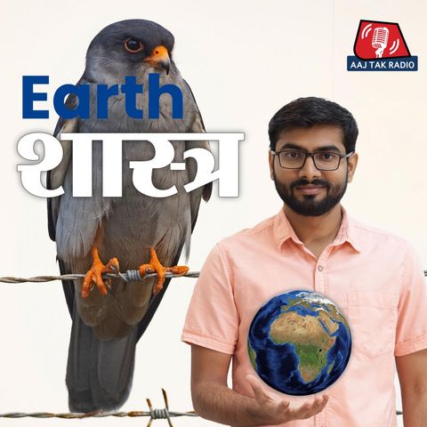  नन्हे बाज अमुर फ़ाल्कन जिन्हें बचाने के लिए भारत से दुनिया सीख रही है: Earth शास्त्र, Ep 14