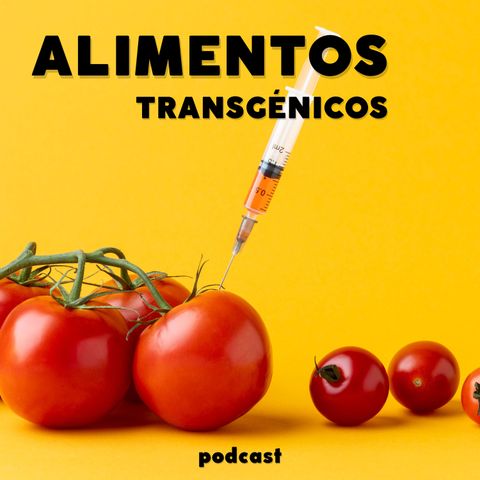PARTE 2