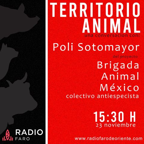 Territorio Animal - Brigada Animal México