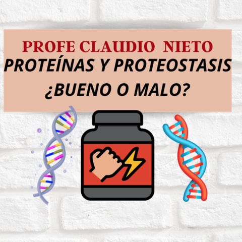 143. ¿Qué es la PROTEOSTASIS? 🌌¿Causa ENVEJECIMIENTO? Descubre qué vía regula el proceso