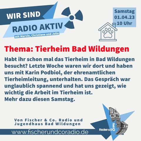 Tierheim Bad Wildungen - WIR SIND RADIO AKTIV