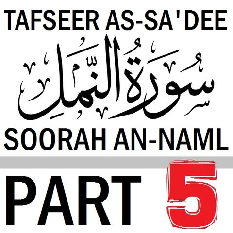 Soorah an-Naml Part 5: Verses 20-21