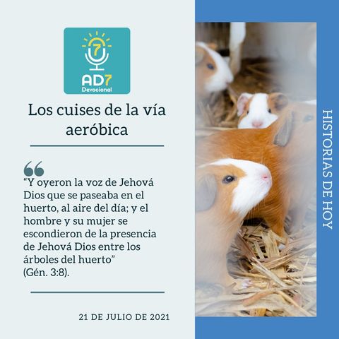 21 de julio - Los cuises de la vía aeróbica - Devocional de Jóvenes - Etiquetas Para Reflexionar