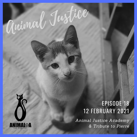 ANIMALIA 18 - Animal Justice - 12Feb21