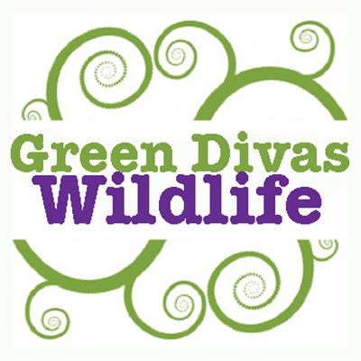 GDs Heart Wildlife: GE Crops